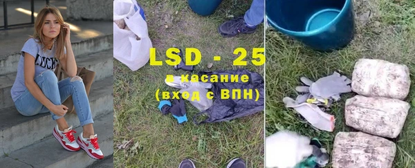 ГАЛЛЮЦИНОГЕННЫЕ ГРИБЫ Бородино