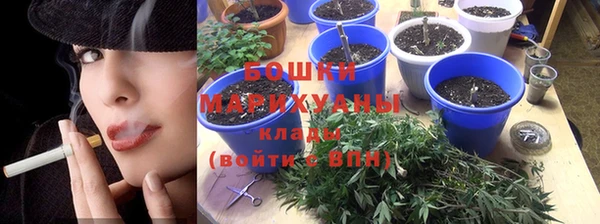 ГАЛЛЮЦИНОГЕННЫЕ ГРИБЫ Бородино